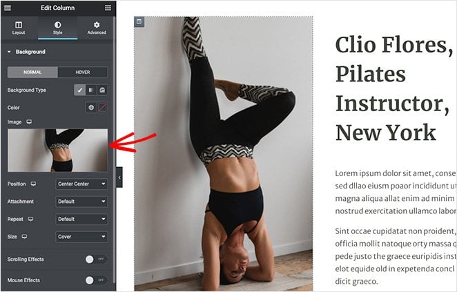 Elementor page builder