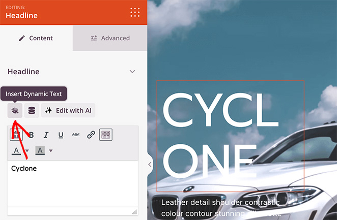 Insert dynamic text in SeedProd website builder