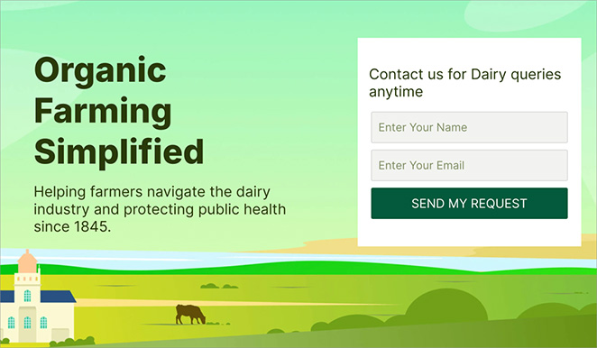 Example of a landing page with opt-in form created in WordPress
