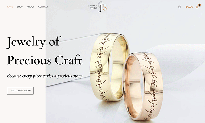 astra-ecommerce-WordPress-theme - SeedProd Astra eCommerce WordPress themes