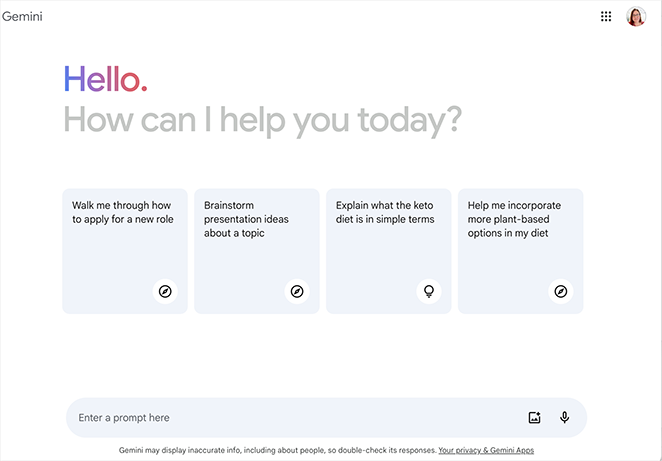 Gemini chat interface